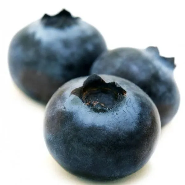 Blauwe bessen losse stuk gezond fruit